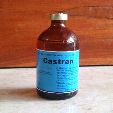 CASTRAN