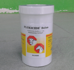 FLUKICIDE BOLUS