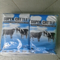 SUPER CATTLE